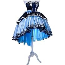 Amazon.co.jp: [Generic Brands] LONGSHUMU シンデレラガールズ